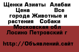 Щенки Азиаты (Алабаи) › Цена ­ 20 000 - Все города Животные и растения » Собаки   . Московская обл.,Лосино-Петровский г.